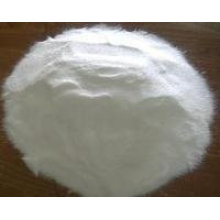 (Productor) Polvo blanco de polipropileno / homopolímero PP / PP virgen